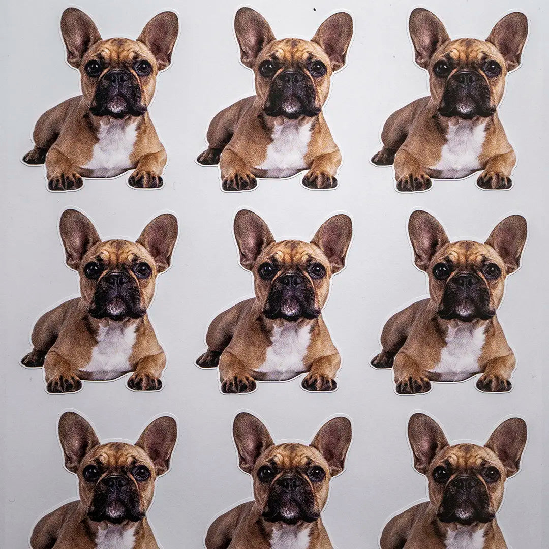 CUSTOM FACE & PET STICKERS